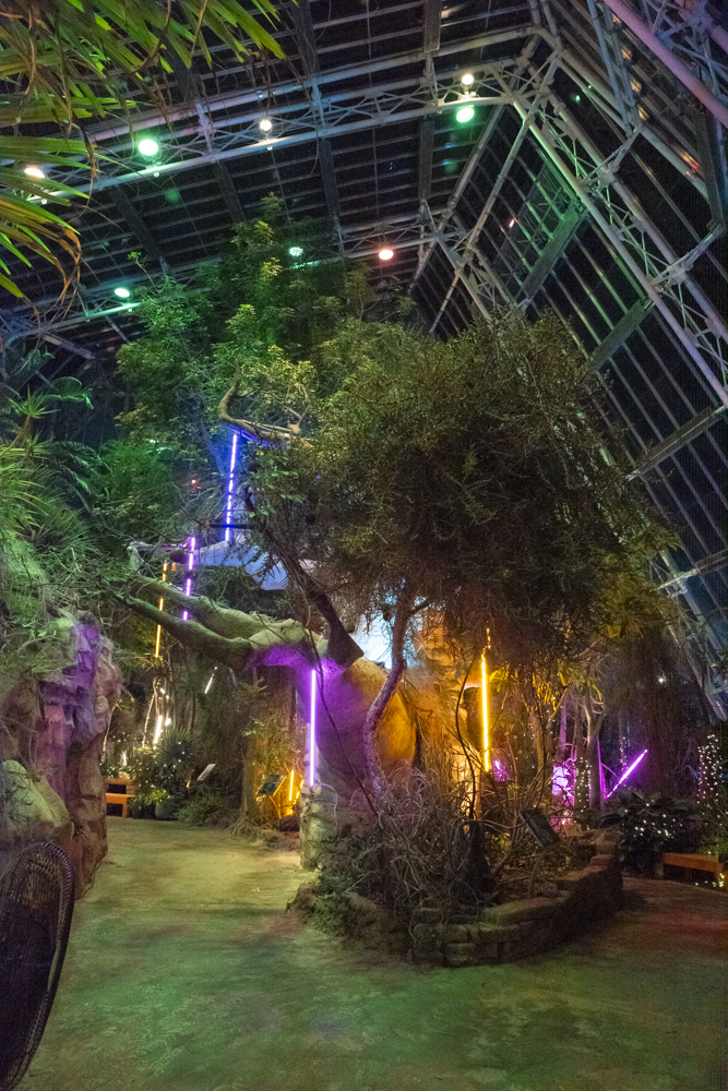 Frost – Cleveland Botanical Garden